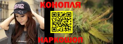 гидра Будённовск