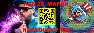 гидра Будённовск