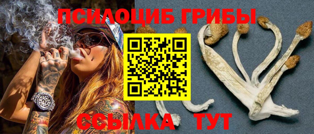 Галлюциногенные грибы Psilocybe  хочу   Сорочинск  Вход с VPN 