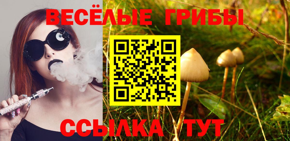 Галлюциногенные грибы Magic Shrooms Сорочинск